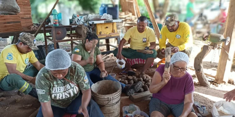 Naturatins apoia mulheres agroextrativistas de Araguacema na coleta e produção de óleo do coco babaçu