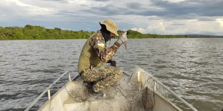 Mais de cinco mil metros de redes foram retirados do Lago - (Fotos: Naturatins/Governo do Tocantins)