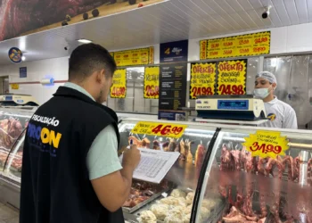 O levantamento apresentou 31 cortes de carne, incluindo bovinos, suínos, frango, peixes e linguiças, em nove estabelecimentos comerciais da cidade, sendo açougues e supermercados.
