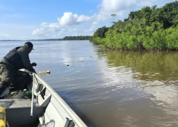 Ação abrangeu os municípios de Couto Magalhães, Juarina, Pau D'Arco e Araguanã - Naturatins/Governo do Tocantins