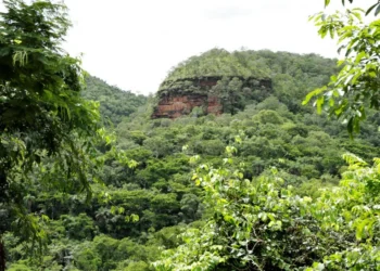 TAC assinado com o Ministério Público visa garantir que os recursos do Fuema sejam destinados à preservação e à recuperação do meio ambiente. - Foto: Marcel de Paula / Governo do Tocantins