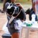 Vacinação antirrábica para cães e gatos acontece neste sábado em 66 locais de Palmas