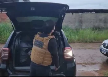 Mulher foi localizada e presa pelas equipes da 1ª DHPP nesta sexta-feira na capital - Divulgação PCTO