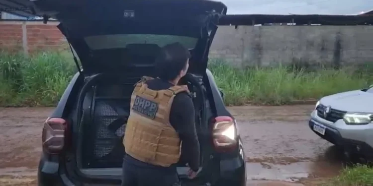 Mulher foi localizada e presa pelas equipes da 1ª DHPP nesta sexta-feira na capital - Divulgação PCTO