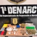 Em Palmas, Polícia Civil estoura ponto de venda de entorpecentes e prende traficante