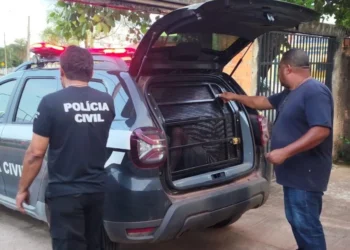 Prisão realizada por policiais civis da 99ª DP de Paranã - Divulgação PCTO