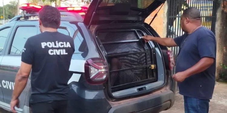 Polícia Civil prende homem investigado por estupro de vulnerável ocorrido em Paranã