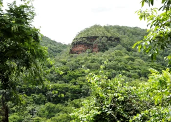 TAC assinado com o Ministério Público visa garantir que os recursos do Fuema sejam destinados à preservação e à recuperação do meio ambiente. - Foto: Marcel de Paula / Governo do Tocantins.