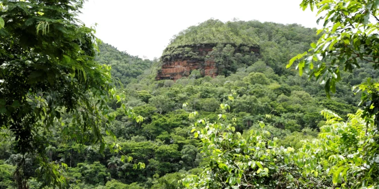 Estado do Tocantins firma TAC com o Ministério Público para aprimorar gestão dos recursos do Fundo Estadual do Meio Ambiente