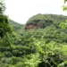 Estado do Tocantins firma TAC com o Ministério Público para aprimorar gestão dos recursos do Fundo Estadual do Meio Ambiente