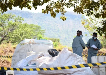 O projeto é voltado para pequenos e médios produtores. Foto: Majuh Souza / Governo do Tocantins
