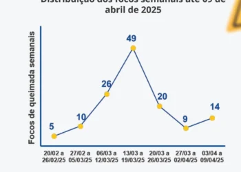 No Boletim nº 31, 10 municípios somaram 14 focos de queimadas, o equivalente a um acréscimo de 56% nas ocorrências em comparação com a semana anterior_Divulgação