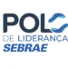 Sebrae apresenta Polo de Liderança a instituições públicas do Tocantins