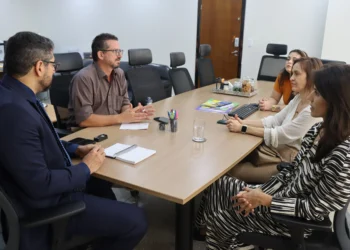 Reunião permitiu que as partes alinhassem suas responsabilidades e reforçassem o compromisso de atuação conjunta - Adrielly Calixto / Governo do Tocantins