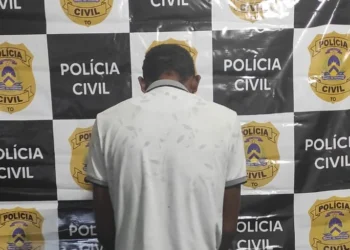 Suspeito é investigado em nove inquéritos e já é condenação por estupro de vulnerável - Divulgação PC/TO