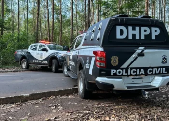 Investigação foi conduzida pela 2ª DHPP que colheu mais elementos probatórios indicando todas as circunstâncias do acidente - Luiz de Castro/Governo do Tocantins