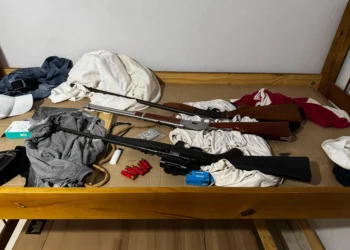 Armas de fogo foram apreendidas pela PC/TO durante ação em Bom Jesus - Crédito - DICOM SSP TO