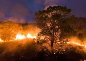 Governo do Estado lança edição do Foco no Fogo 2025 nesta terça-feira, 8, em Palmas