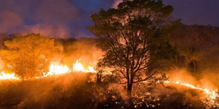 Descrição: Foco no Fogo será lançado nesta terça, 8, no Quartel do Comando Geral da PMTO  Crédito: Divulgação