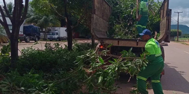Prefeitura de Palmas intensifica serviços de coleta de galhadas na cidade