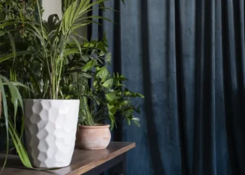 Ter plantas no quarto não é prejudicial para a saúde • Freepik