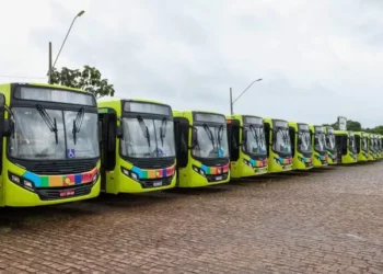 Ônibus do transporte coletivo de Palmas — Foto: Divulgação/ Secom Prefeitura de Palmas