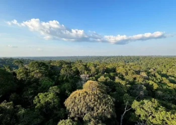 A empresa Emirati será responsável pelo fornecimento de veículos, rádios e celulares com comunicação criptografada • Tânia Rêgo/Agência Brasil