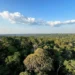 Brasil fecha acordo para aumentar vigilância contra crimes na Amazônia