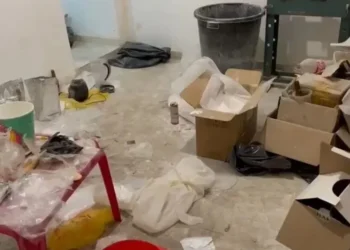 PF deflagra operação contra tráfico internacional de drogas em Campinas • Reprodução/PF