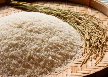 Pressão nas cotações do arroz vem da expectativa de maior oferta e do ritmo mais acelerado da colheita nesta temporada — Foto: Freepik
