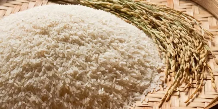 Preço do arroz caiu 14% em março para o produtor