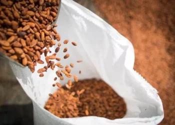 Desaceleração das exportações na Costa do Marfim eleva as cotações do cacau — Foto: Wenderson Araujo/CNA