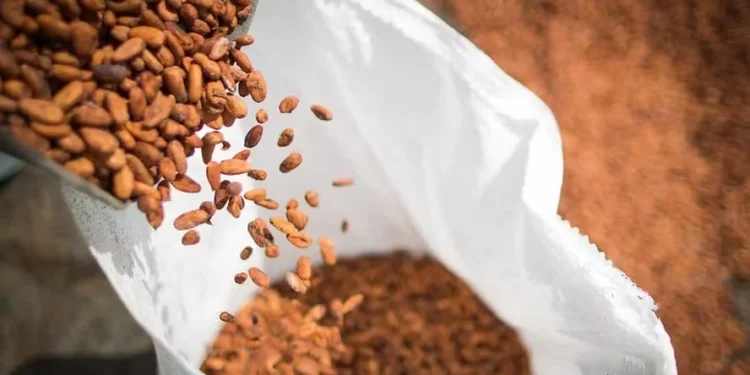 Cacau abre o dia com forte alta na bolsa de Nova York