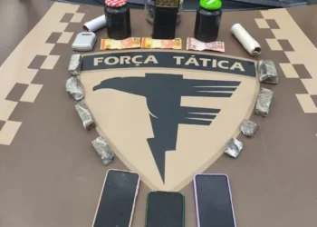 Mãe, filho e nora foram presos por suspeita de tráfico de drogas — Foto: Divulgação/PMTO