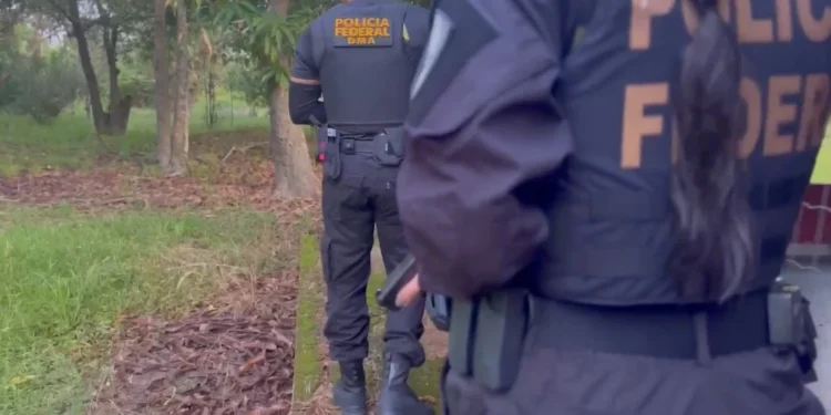 Operação da PF mira fazendeiros por queimadas ilegais em Roraima