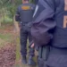 Operação da PF mira fazendeiros por queimadas ilegais em Roraima