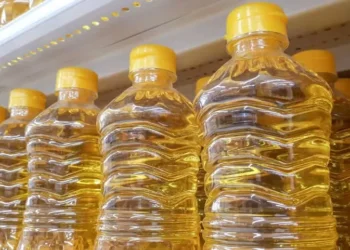 FAO destaca forte demanda global por óleos de palma, soja, canola e girassol — Foto: Getty Images/Canva