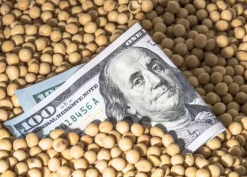 Queda da soja é motivada, sobretudo, pela resposta do governo chinês às taxas de Trump — Foto: Getty Images