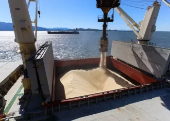 As exportações agropecuárias brasileiras totalizaram US$ 8,22 bilhões no mês passado — Foto: Théo Marques