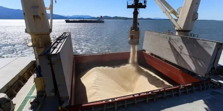 Exportações agropecuárias subiram 16% em março