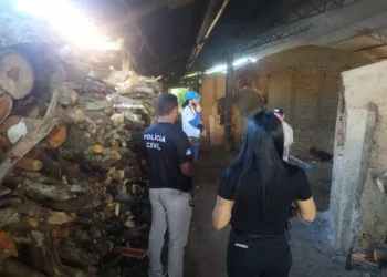 Fornalhas da cerâmica de propriedade do suspeito foram periciadas nesta sexta-feira (4) — Foto: Divulgação/PCTO