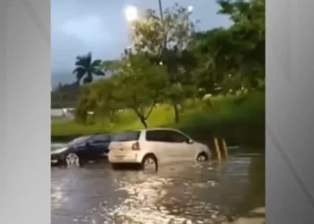 Chuva deixa Angra dos Reis (RJ) em alerta máximo para deslizamentos • Reprodução