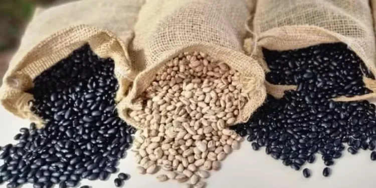 Preços do feijão-preto e do carioca têm comportamentos opostos