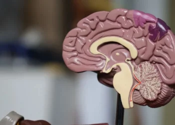 Em casos raros, o Alzheimer pode surgir precocemente, em pessoas com menos de 65 anos • Unsplash/Robina Weermeijer