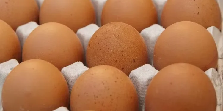 oram exportadas 3.770 toneladas de ovos em março, a maior para os Estados Unidos — Foto: Pixabay