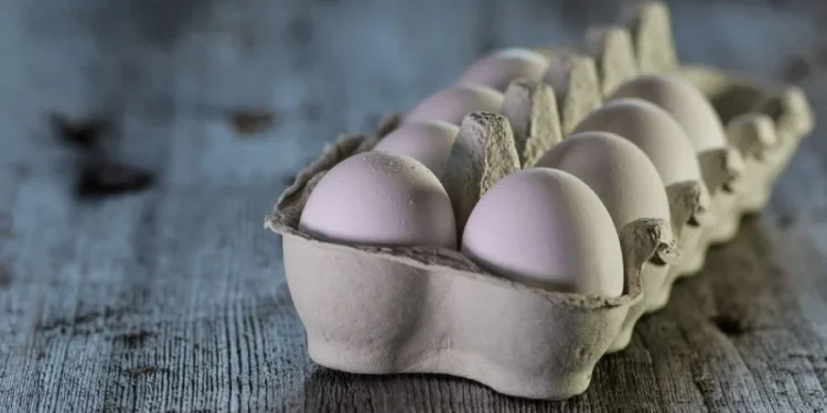 EUA aumenta em 346,4% importação de ovos do Brasil no 1º tri