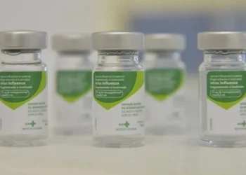 Sociedade Brasileira de Imunizações defende o avanço no desenvolvimento de vacinas para contar pandemia de gripe aviária • Rovena Rosa/Agência Brasil