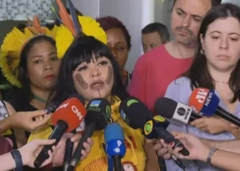 Célia Xakriabá pede ao STF investigação por ação contra indígenas no DF