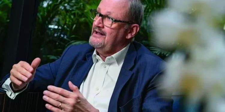 Brasil pode voltar a ser referência mundial em cacau