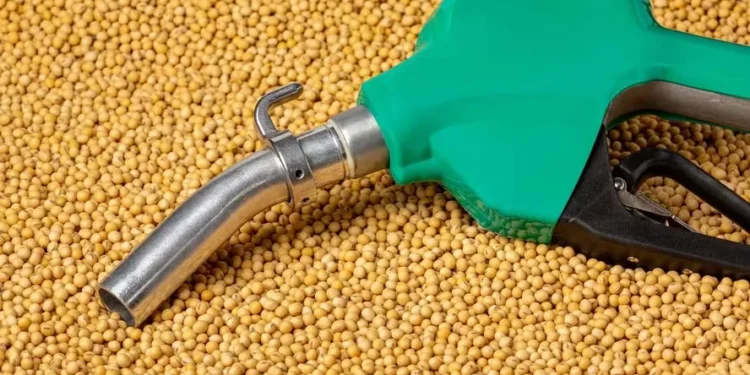 Produção de biodiesel pode dobrar para até 20,9 bilhões de litros em 2034